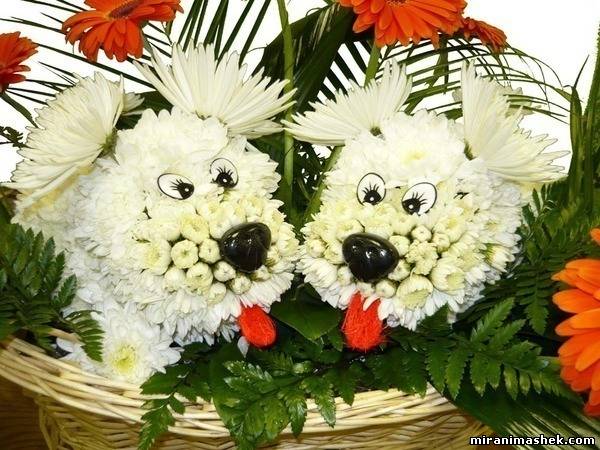 Поздравляем Олечку(panda) с годовщиной свадьбы! 933086897