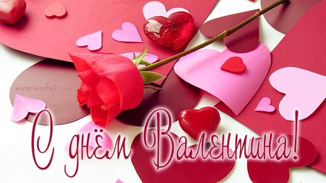 С днём Валентина открытка с розой
