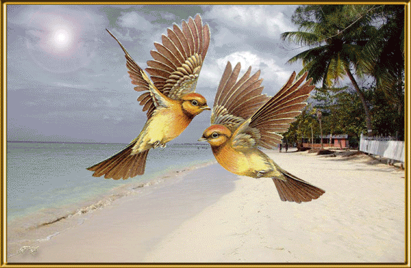 анимационные картинки Любовь у птиц, открытки Любовь у птиц