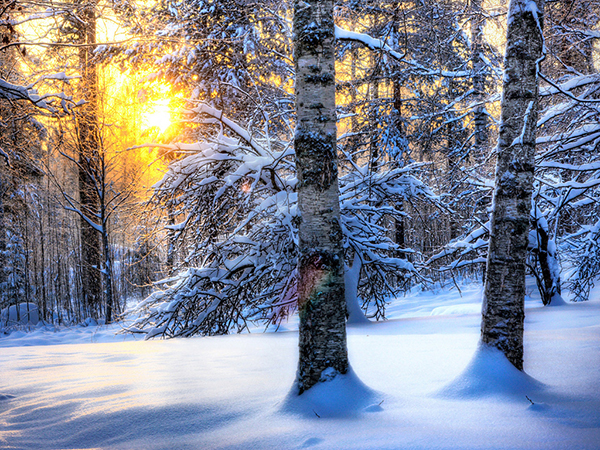красивые Картинки зима снег Природа зимой