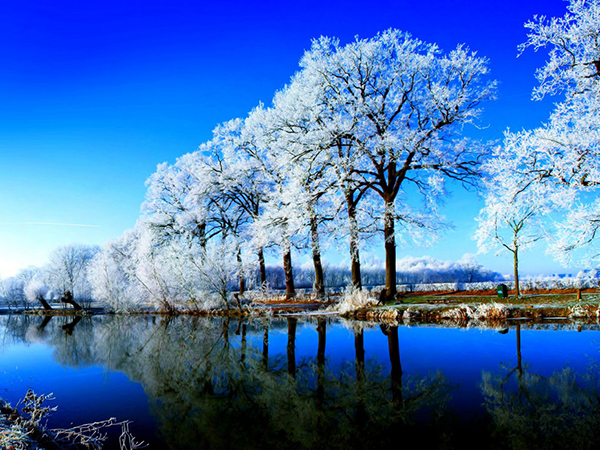 красивые Картинки зима снег Природа зимой