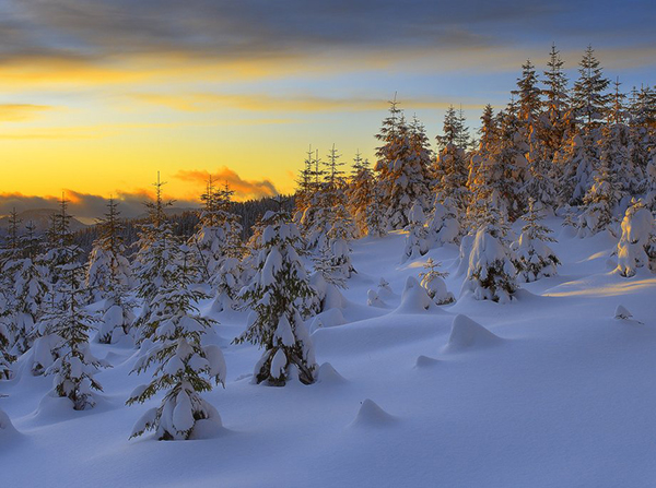 красивые Картинки зима снег Зимний пейзаж