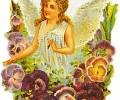 Девушка с ангельскими крыльями собирает цветы