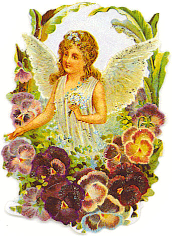 Девушка с ангельскими крыльями собирает цветы