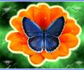 Большая синяя бабочка, анимационная картинка