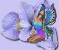 Фэнтези девушка с крыльями бабочки на цветке