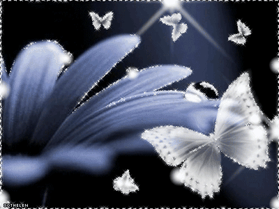 Бабочка на цветке, блестящая картинка gif формата