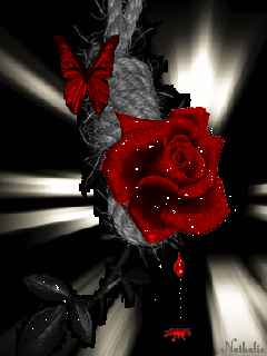 Красная бабочка на розе, течёт кровь из розы