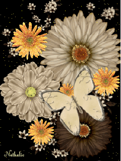 Белая бабочка на цветке, анимация для телефона
