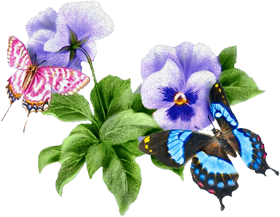 Бабочки на цветах машут крыльями, без фона
