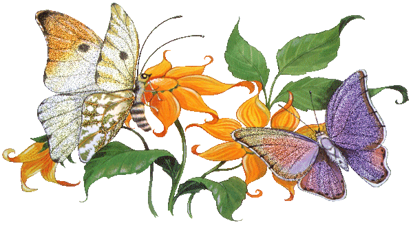 Две нарисованные бабочки на цветке