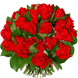 Круглый короткий свадебный букет из красных роз