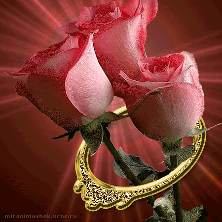 Три розовые розы и обручальное колечко