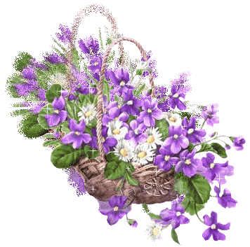 Полная корзина с ромашками и фиолетовыми цветами