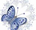 Маленькая голубая бабочка на белом фоне