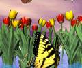 Анимация заставка на телефон, бабочки на пруду