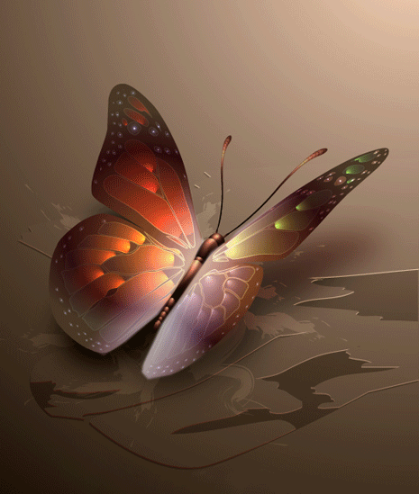 Блики солнца на крыльях бабочки, графика