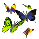 Много бабочек. Летящие, порхающие бабочки