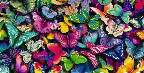 Много бабочек. Анимация, где можно отметить друзей