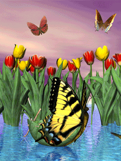Жёлтая бабочка на фоне красных и жёлтых тюльпанов