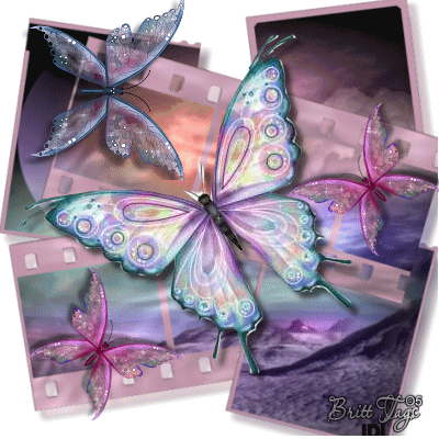Много бабочек над фото, блестящая gif картинка