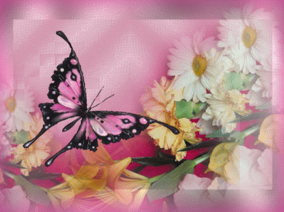 Gif картинка бабочки, порхающей над цветком