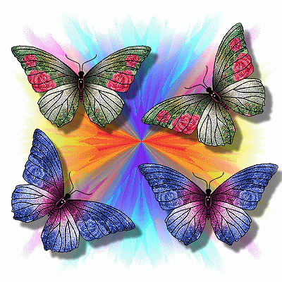 Красивые бабочки, анимация для презентаций