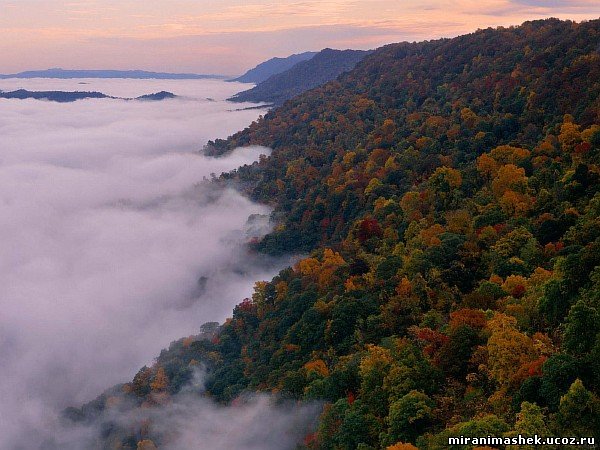 красивые Картинки, рисунки Природа