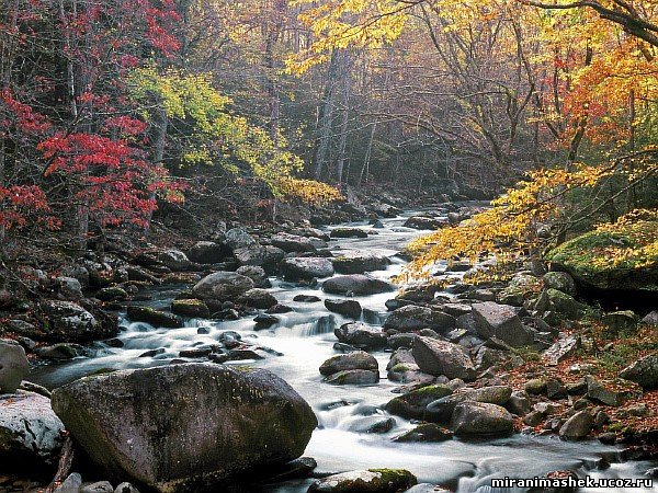 красивые Картинки, рисунки Природа