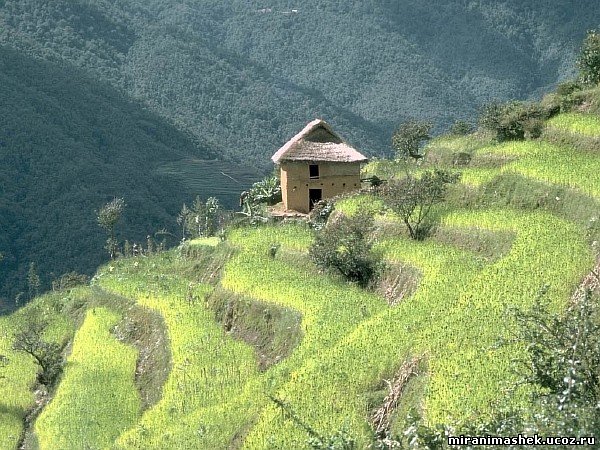 красивые Картинки, рисунки Природа