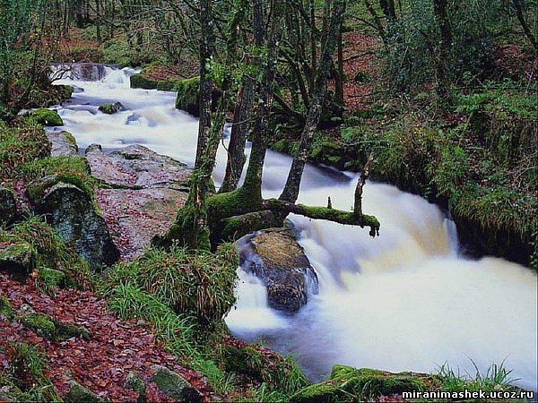 красивые Картинки, рисунки Природа