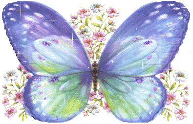 Большая бабочка на кусте с маленькими цветочками