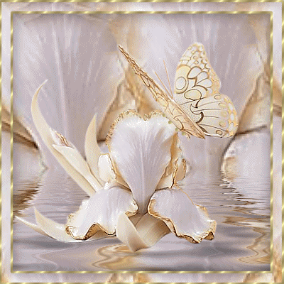 Белая бабочка на красивом цветке над водой