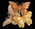 Три бабочки вместе переливают золотым отливом