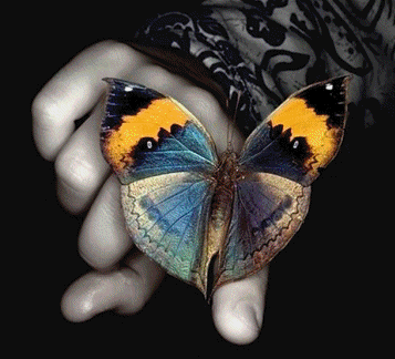 Бабочка на пальце правой руки девушки
