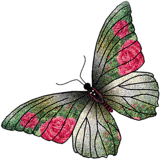 Бабочка с отражением цветов на крыле
