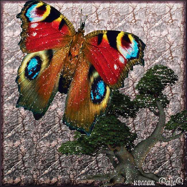 Анимированный коллаж бабочки с блёстками