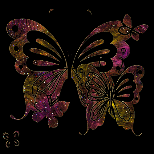 Крылья бабочек, контур бабочки на чёрном фоне