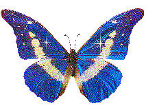 Блестящая картинка синей бабочки с белыми пятнами